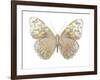 Butterfly in Taupe and Blue-Julia Bosco-Framed Art Print