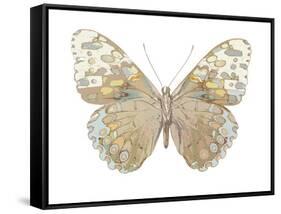 Butterfly in Taupe and Blue-Julia Bosco-Framed Stretched Canvas
