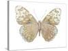 Butterfly in Taupe and Blue-Julia Bosco-Stretched Canvas