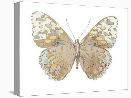 Butterfly in Taupe and Blue-Julia Bosco-Stretched Canvas