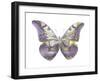 Butterfly in Teal and Blue-Julia Bosco-Framed Art Print