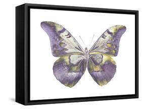 Butterfly in Teal and Blue-Julia Bosco-Framed Stretched Canvas