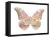 Butterfly in Teal I-Julia Bosco-Framed Stretched Canvas