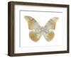 Butterfly in Teal II-Julia Bosco-Framed Art Print