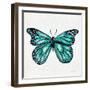 Butterfly in Turquoise-Cat Coquillette-Framed Giclee Print