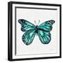 Butterfly in Turquoise-Cat Coquillette-Framed Giclee Print