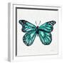 Butterfly in Turquoise-Cat Coquillette-Framed Giclee Print