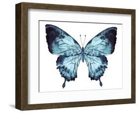 Butterfly Indigo Blue Watercolor-Alecs Chu-Framed Art Print