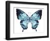 Butterfly Indigo Blue Watercolor-Alecs Chu-Framed Art Print