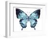 Butterfly Indigo Blue Watercolor-Alecs Chu-Framed Art Print