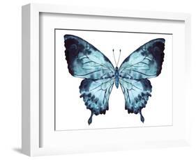 Butterfly Indigo Blue Watercolor-Alecs Chu-Framed Art Print