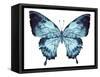 Butterfly Indigo Blue Watercolor-Alecs Chu-Framed Stretched Canvas