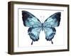 Butterfly Indigo Blue Watercolor-Alecs Chu-Framed Art Print