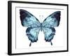 Butterfly Indigo Blue Watercolor-Alecs Chu-Framed Art Print