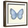 Butterfly IV-Sophie Golaz-Framed Premium Giclee Print