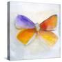 Butterfly IV-Michelle Oppenheimer-Stretched Canvas