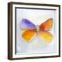 Butterfly IV-Michelle Oppenheimer-Framed Art Print