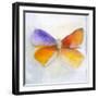 Butterfly IV-Michelle Oppenheimer-Framed Art Print