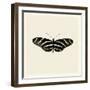 Butterfly IX BW-Debra Van Swearingen-Framed Art Print