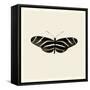 Butterfly IX BW-Debra Van Swearingen-Framed Stretched Canvas