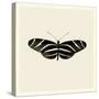 Butterfly IX BW-Debra Van Swearingen-Stretched Canvas