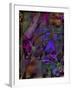 Butterfly Jewels-Mindy Sommers-Framed Giclee Print