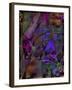 Butterfly Jewels-Mindy Sommers-Framed Giclee Print