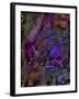 Butterfly Jewels-Mindy Sommers-Framed Giclee Print