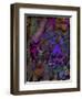 Butterfly Jewels-Mindy Sommers-Framed Premium Giclee Print