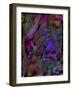 Butterfly Jewels-Mindy Sommers-Framed Giclee Print