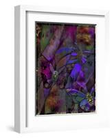 Butterfly Jewels-Mindy Sommers-Framed Giclee Print