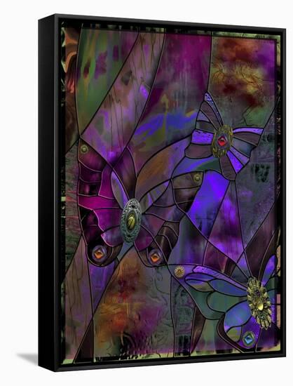 Butterfly Jewels-Mindy Sommers-Framed Stretched Canvas