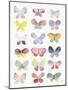 Butterfly Kaleidoscope-Joelle Wehkamp-Mounted Art Print