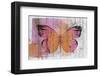 Butterfly Kiss-null-Framed Art Print