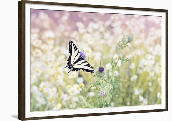 Butterfly Kisses-Elizabeth Kay-Framed Giclee Print