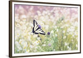 Butterfly Kisses-Elizabeth Kay-Framed Giclee Print