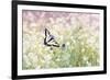 Butterfly Kisses-Elizabeth Kay-Framed Giclee Print