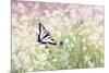 Butterfly Kisses-Elizabeth Kay-Mounted Giclee Print