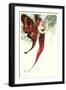 Butterfly Lady,Art Nouveau-null-Framed Art Print