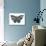 Butterfly Lettering Poster-zapolzun-Art Print displayed on a wall