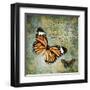 Butterfly Love-Carole Stevens-Framed Art Print