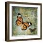 Butterfly Love-Carole Stevens-Framed Art Print