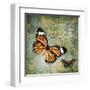 Butterfly Love-Carole Stevens-Framed Art Print