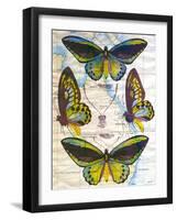 Butterfly Map III-John Butler-Framed Art Print