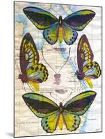 Butterfly Map III-John Butler-Mounted Art Print