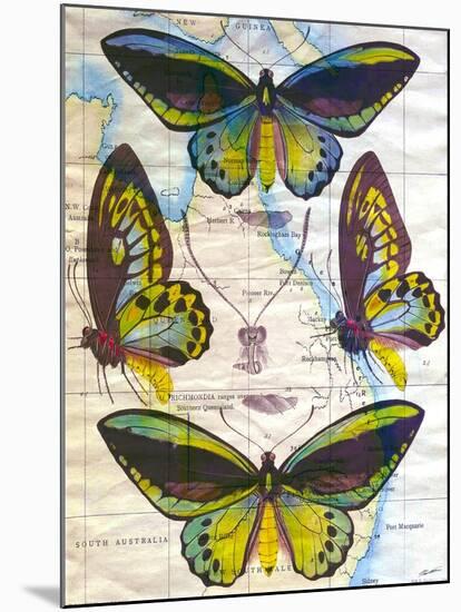 Butterfly Map III-John Butler-Mounted Art Print