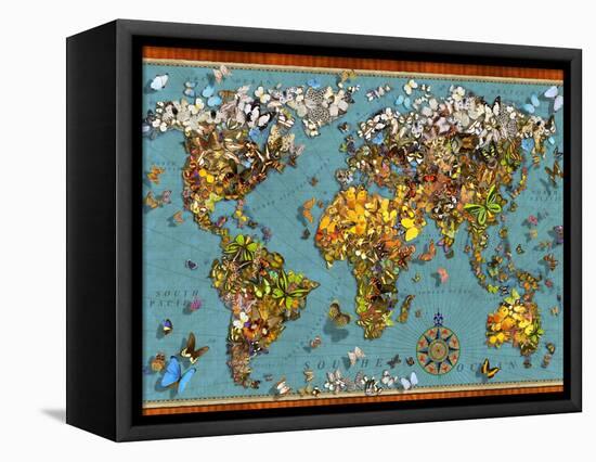 Butterfly Map (Variant 1)-Garry Walton-Framed Stretched Canvas