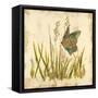 Butterfly Meadow-Bella Dos Santos-Framed Stretched Canvas