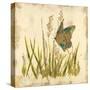 Butterfly Meadow-Bella Dos Santos-Stretched Canvas