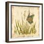 Butterfly Meadow-Bella Dos Santos-Framed Art Print